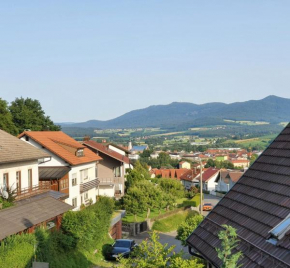 Großzügige Ferienwohnung in Furth im Wald Furth Im Wald